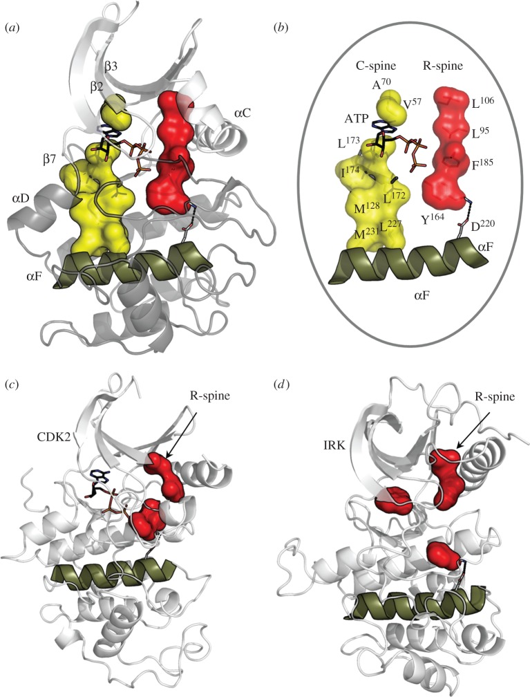 Figure 2.