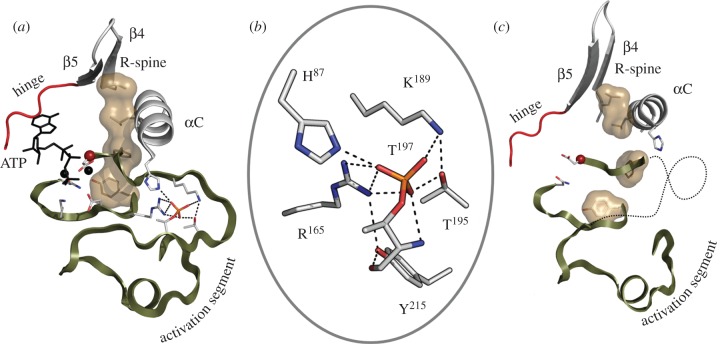 Figure 6.