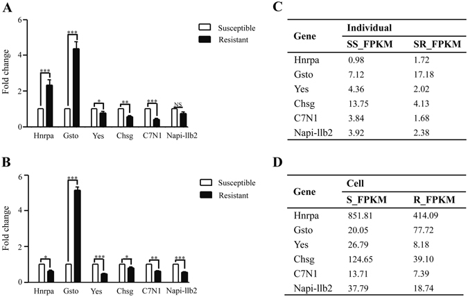 Figure 7