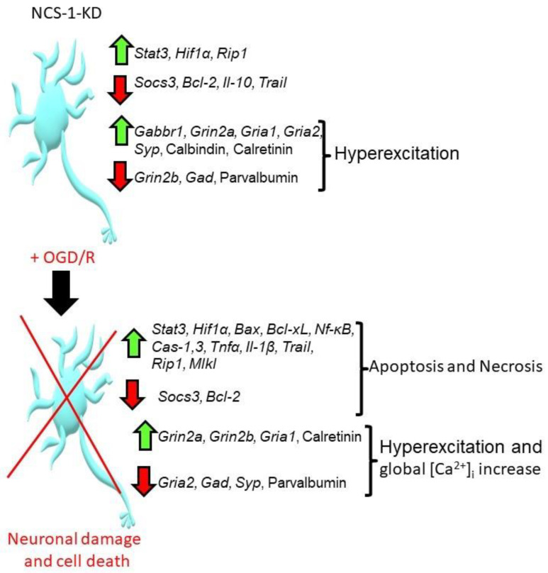 Figure 9