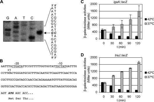 FIG. 2.