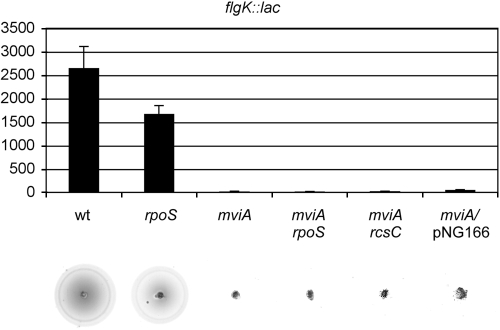 FIG. 5.