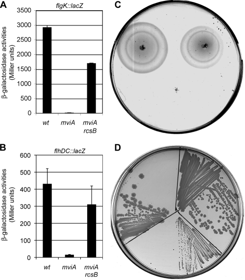 FIG. 4.