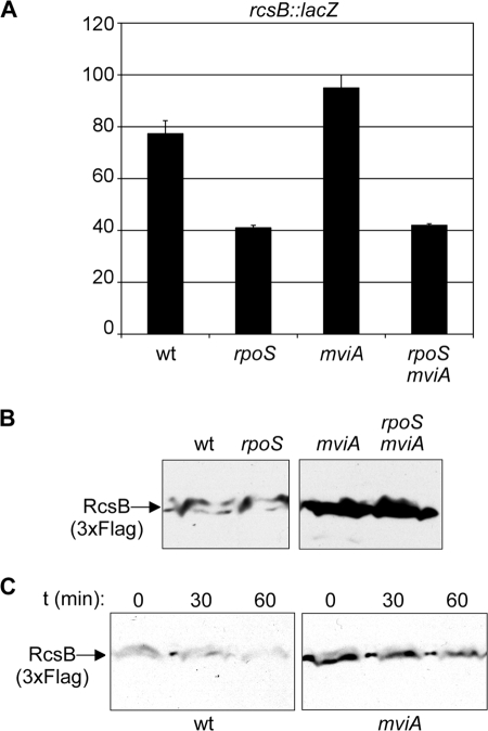 FIG. 6.