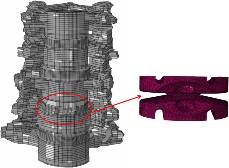 Fig. 1