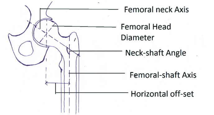 [Table/Fig-1b]: