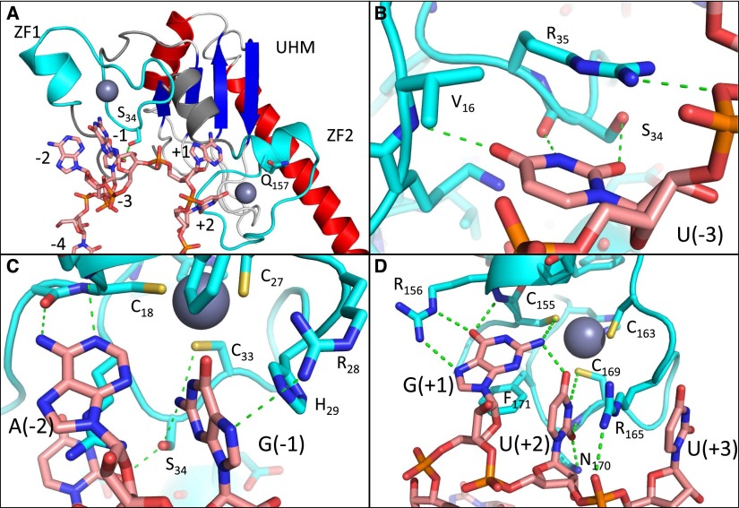 Figure 6.