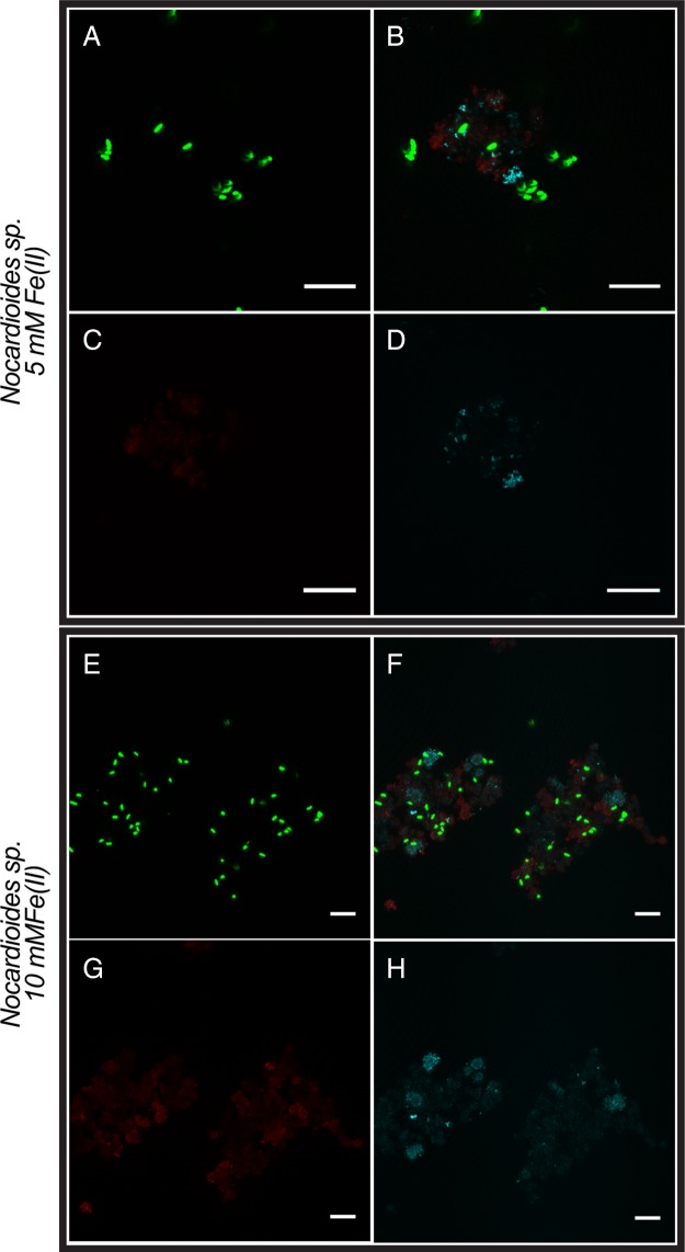 FIG 3