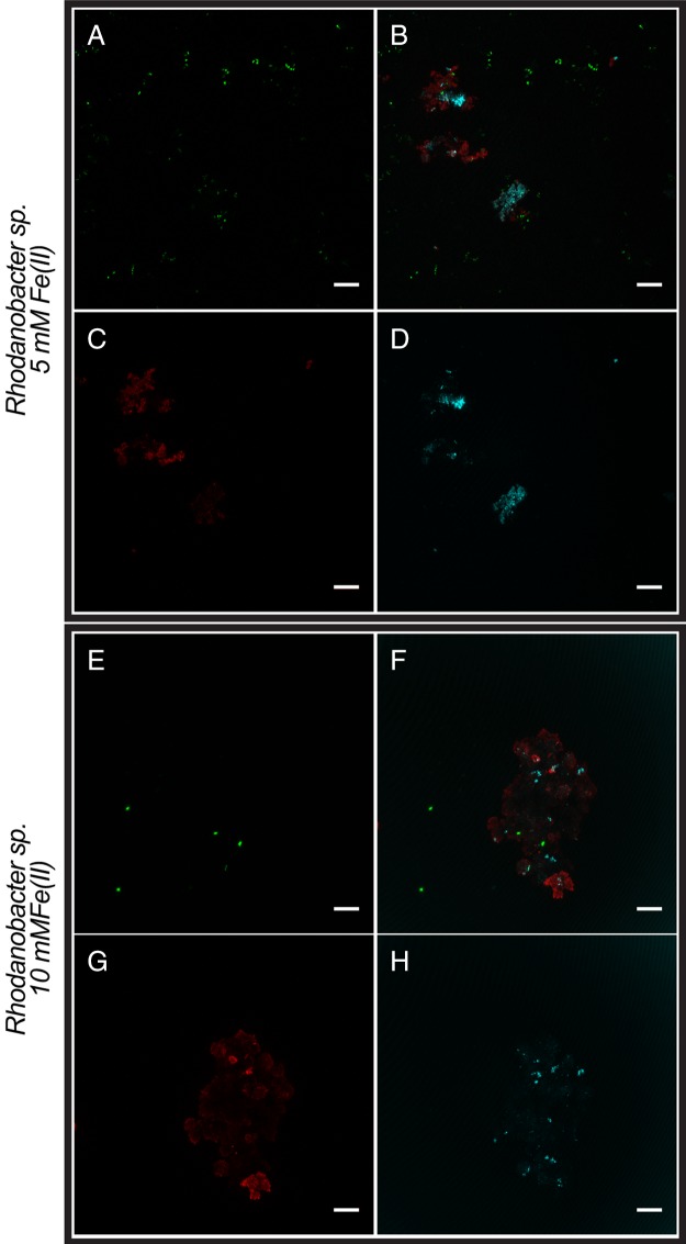 FIG 4