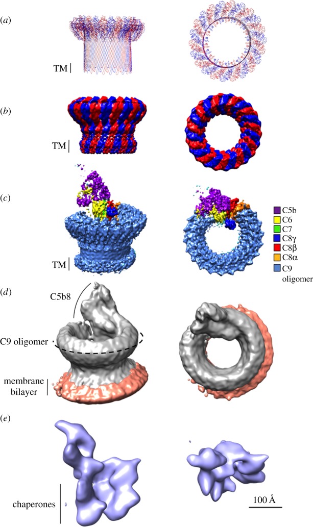 Figure 3.