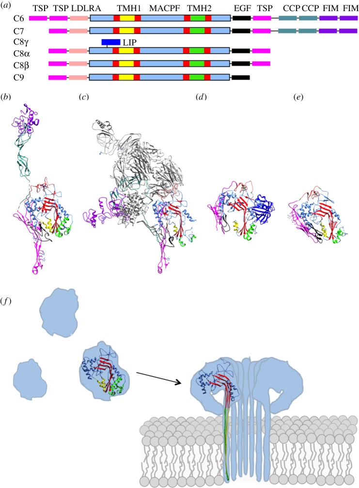 Figure 2.