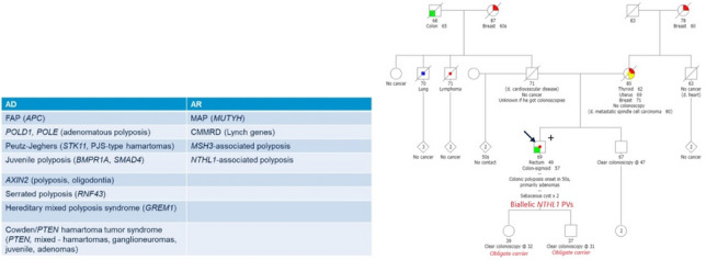 graphic file with name 10689_2021_284_Figb_HTML.jpg