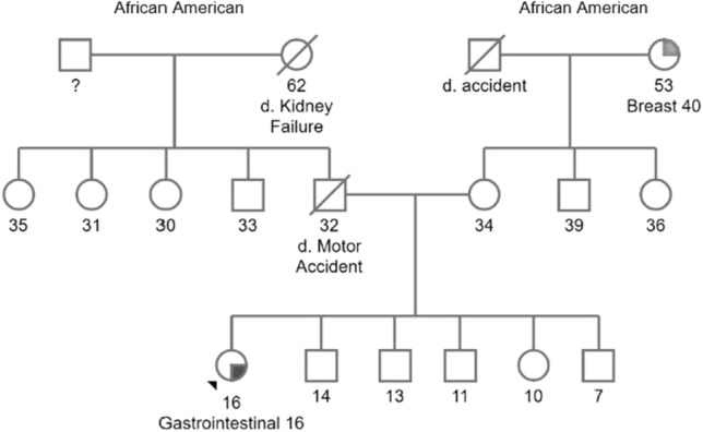 graphic file with name 10689_2021_284_Figo_HTML.jpg