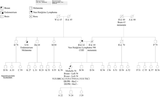 graphic file with name 10689_2021_284_Figv_HTML.jpg