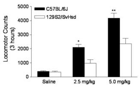 Fig.1