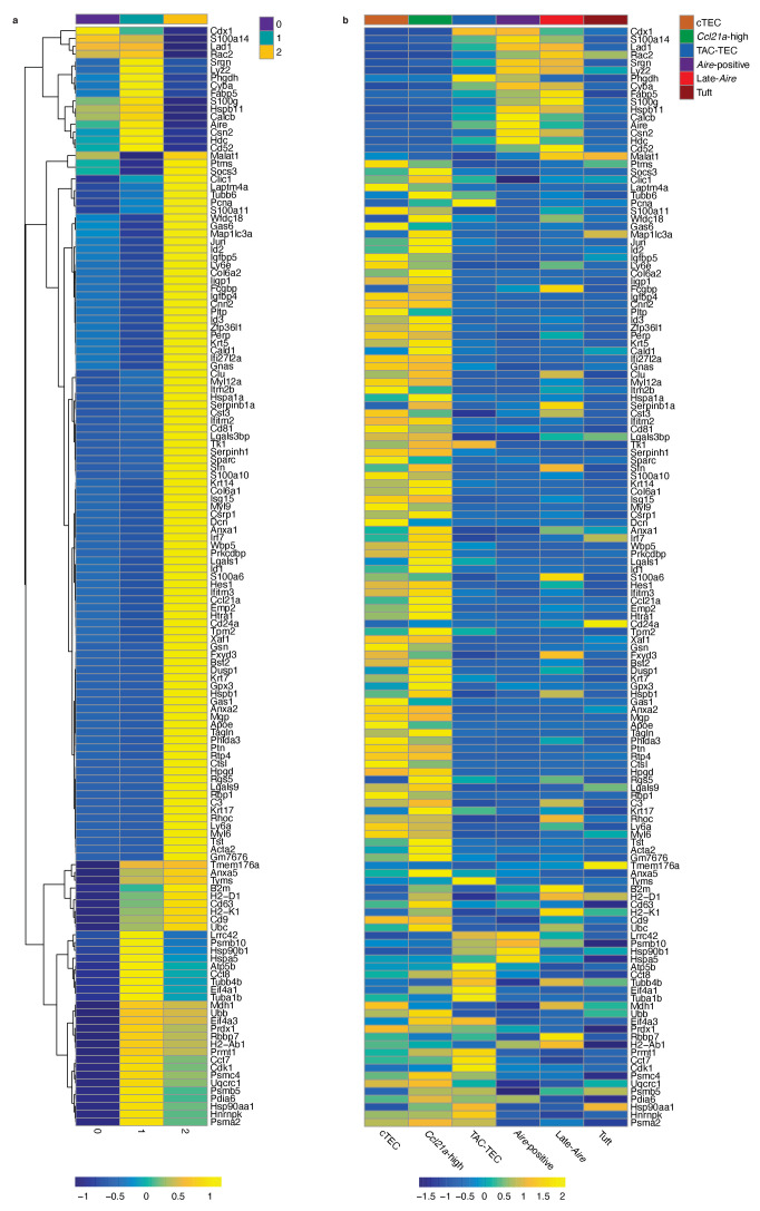 Figure 5—figure supplement 2.