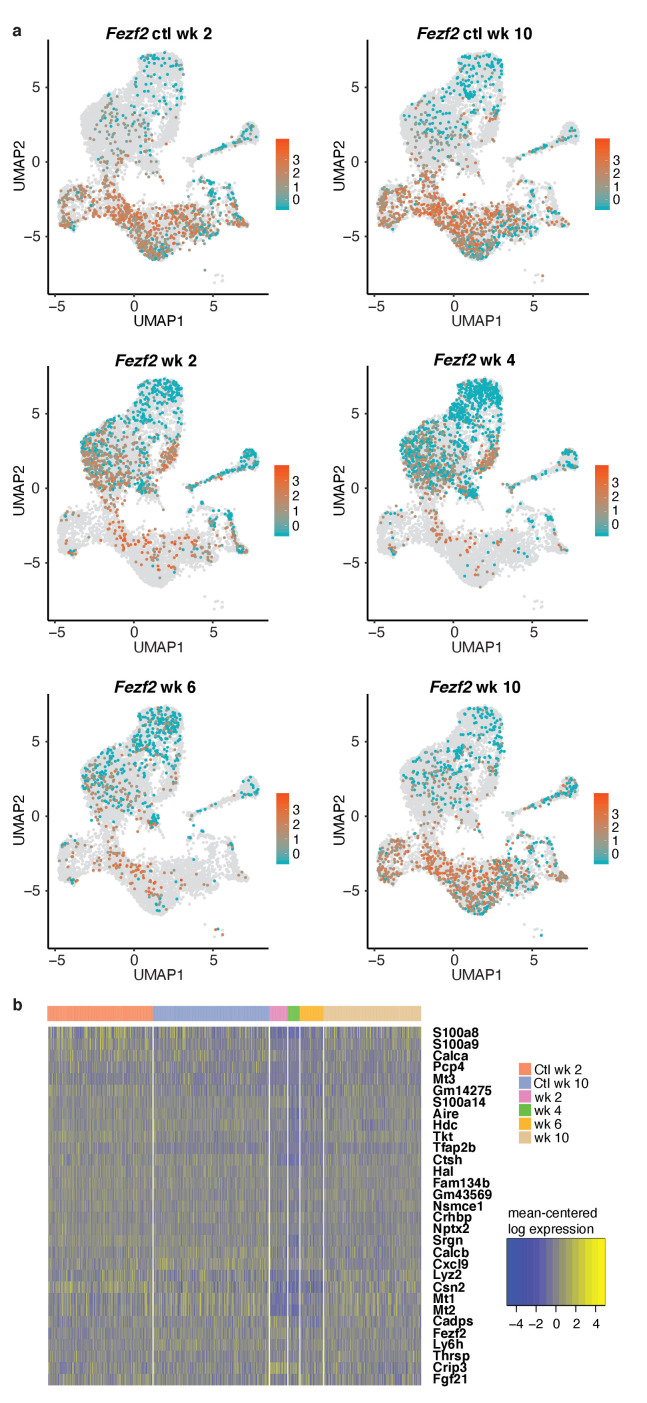 Figure 6—figure supplement 1.