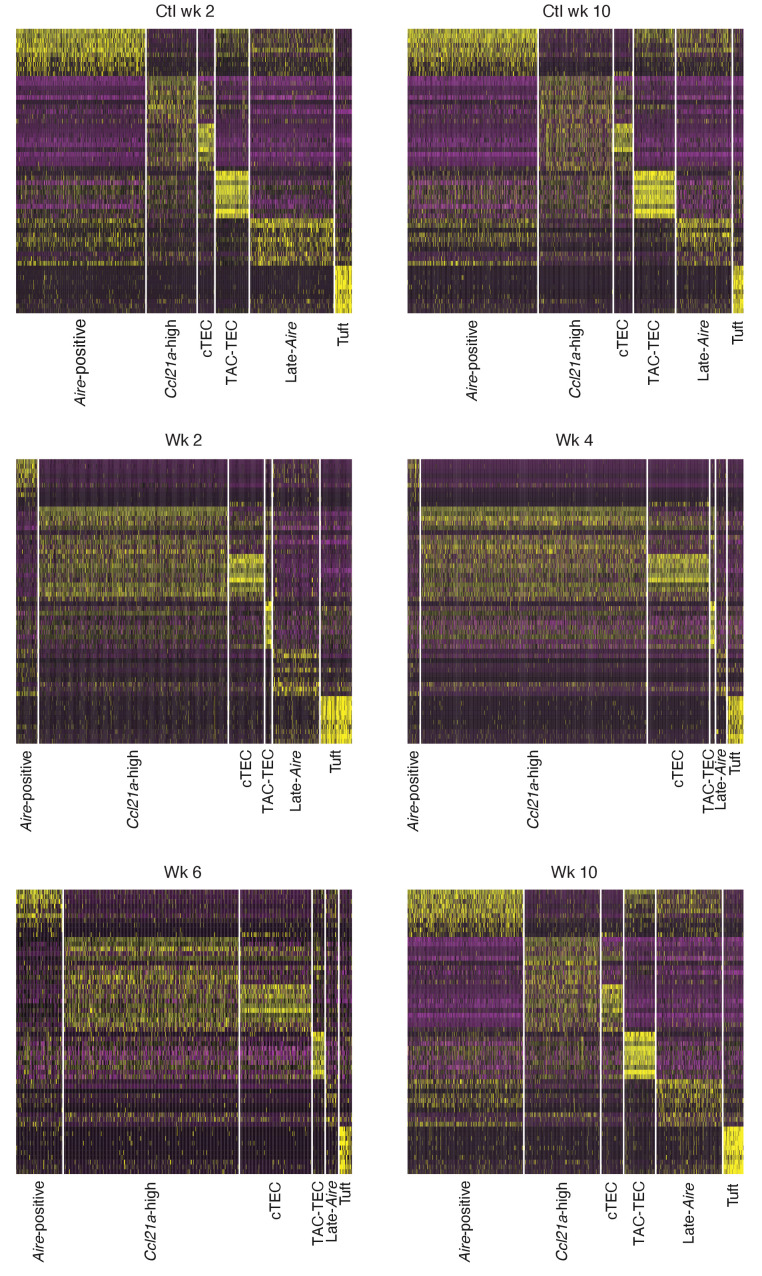 Figure 4—figure supplement 3.