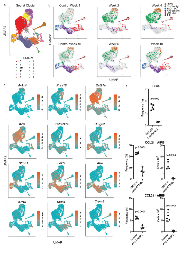 Figure 4—figure supplement 1.