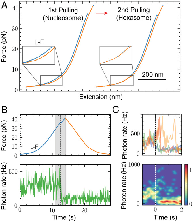 Fig. 6.