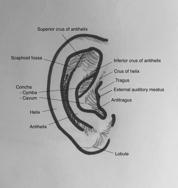 Fig. 1