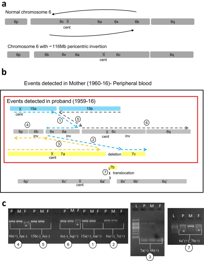 Figure 6