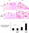 Figure 4-4039