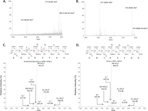 FIGURE 2.