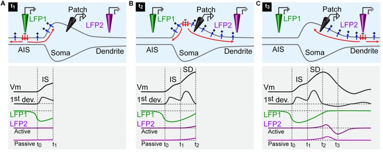 FIGURE 2