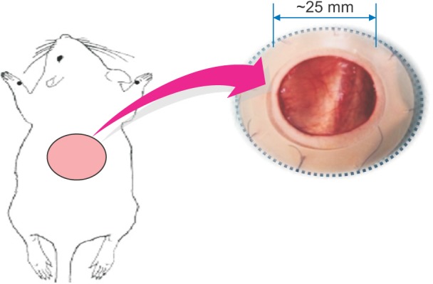 Fig. 1