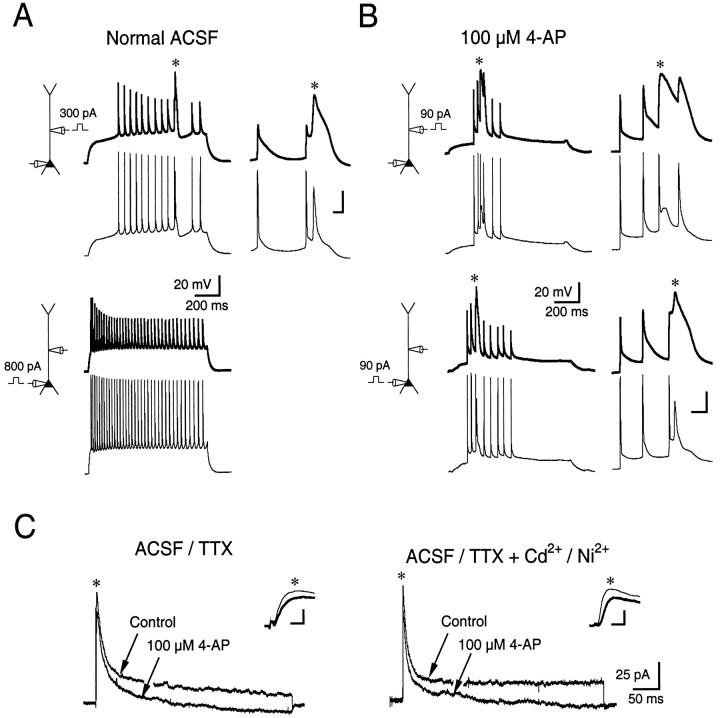 Fig. 5.