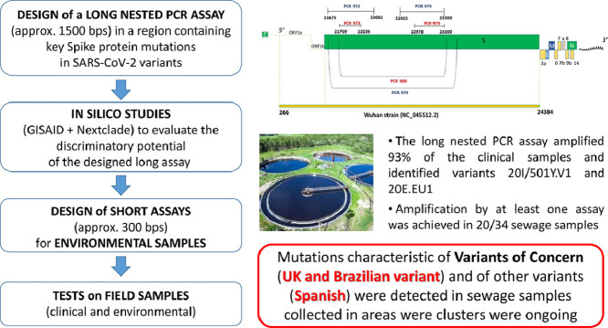 Image, graphical abstract