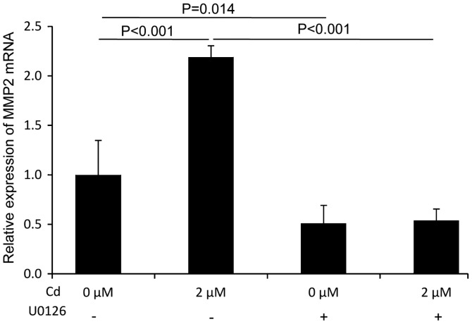 Figure 5.