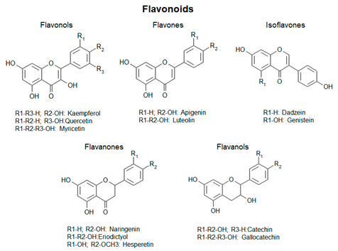 graphic file with name antioxidants-09-01225-i002.jpg