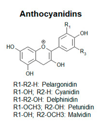 graphic file with name antioxidants-09-01225-i003.jpg