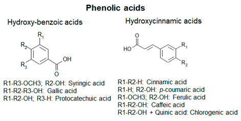 graphic file with name antioxidants-09-01225-i001.jpg