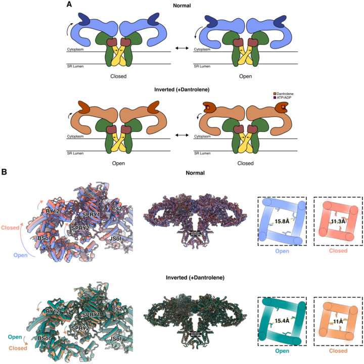 Figure 4: