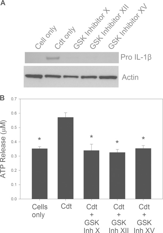 FIG 5