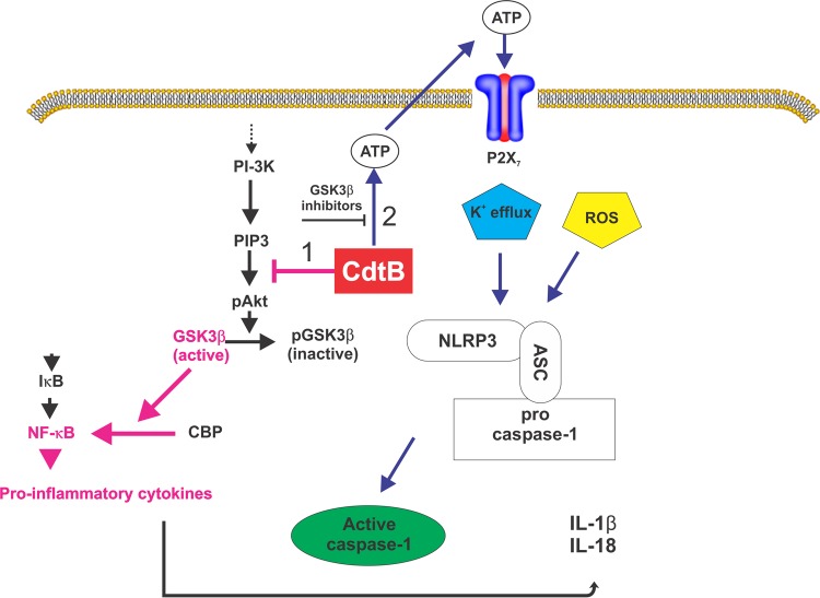 FIG 6