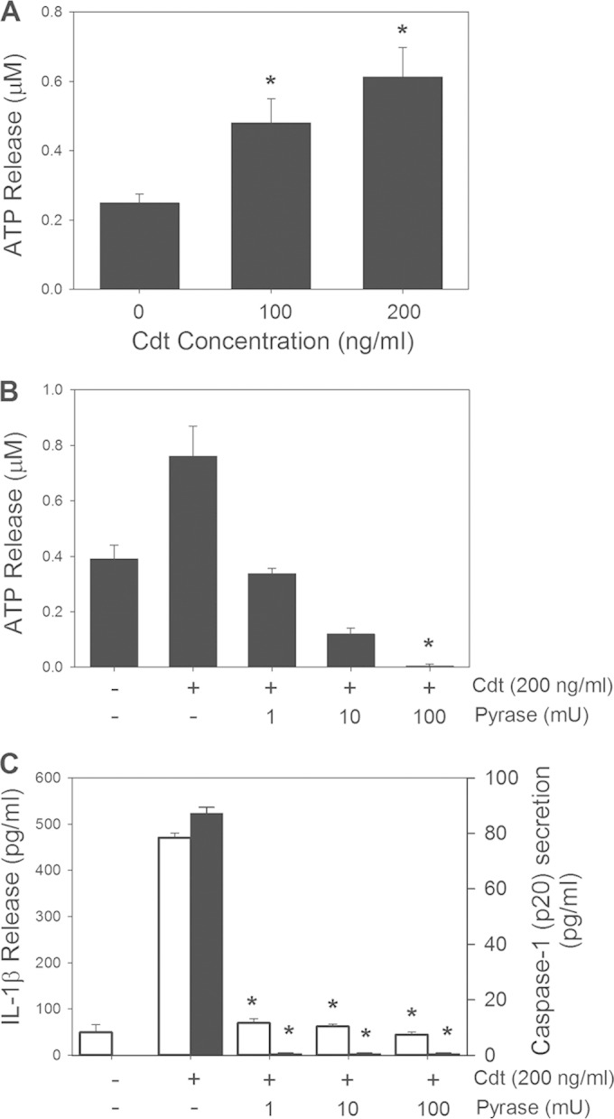 FIG 4