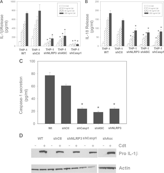 FIG 2