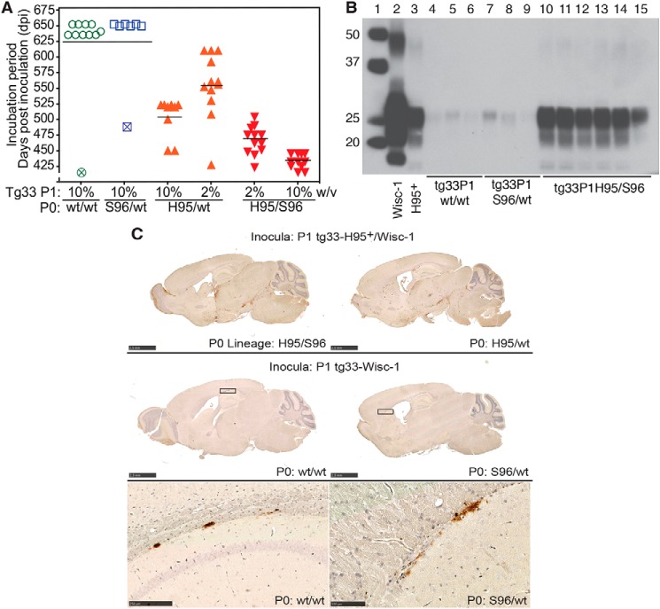 Figure 11.