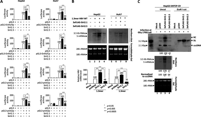 FIG 2