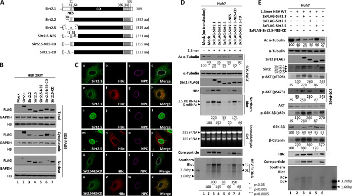 FIG 6