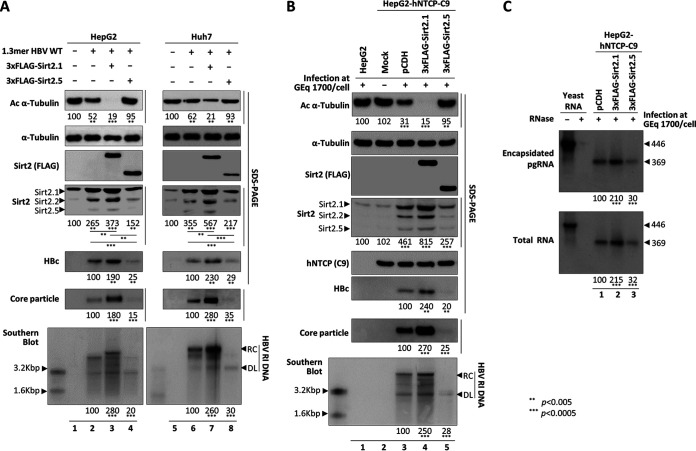 FIG 3