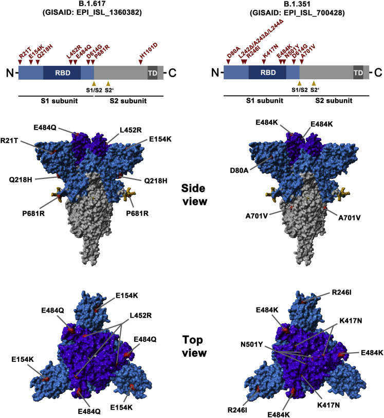 Figure 1