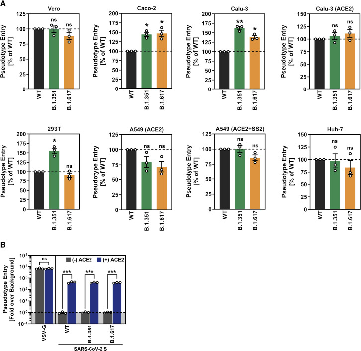 Figure 2