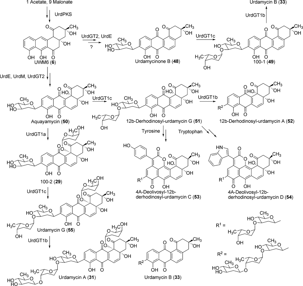 Scheme 8