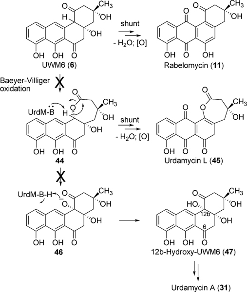 Scheme 7