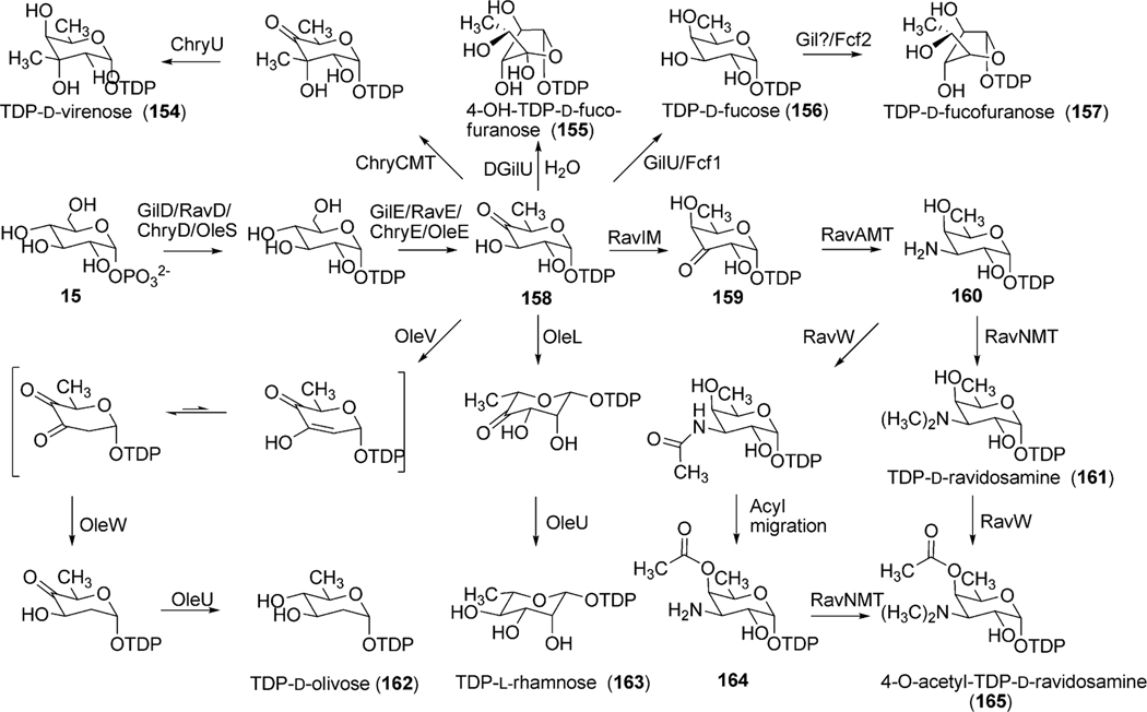 Scheme 18